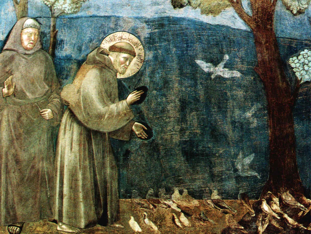 St Francis