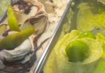 Gelato13.jpg