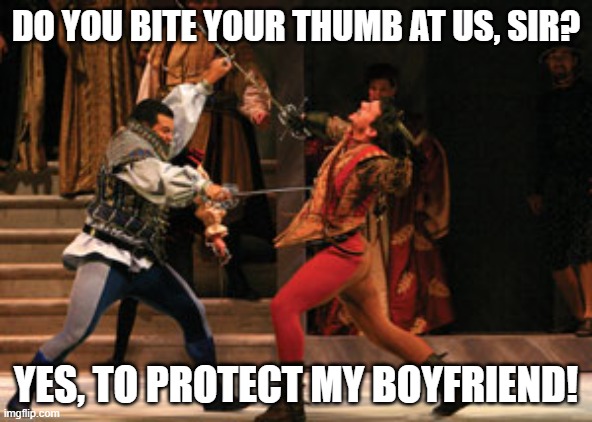 Meme showing a combat scene with actors in Renaissance garb stabbing each other, with the captions: "Do you bite your thumb at us, sir?" "Yes, to protect my boyfriend!"