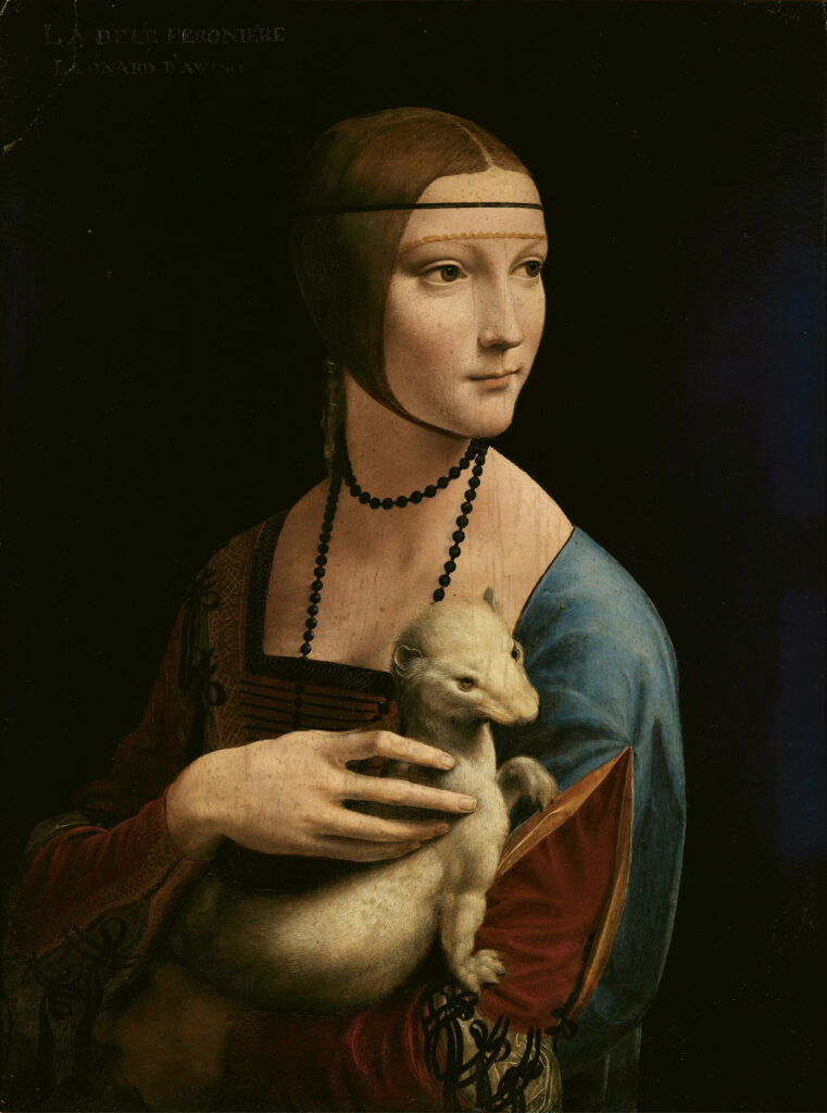 Leonardo's portrait of Cecilia Galleraniknown as "Lady with an Ermine." Wearing the same hairstyle as Beatrice d'Este in her portrait, Cecilia gazes to the right while holding a snow white ermine, representing purity and virtue. She wears a blue overgown lined with gold over a red gown, and a long necklace of black beads.